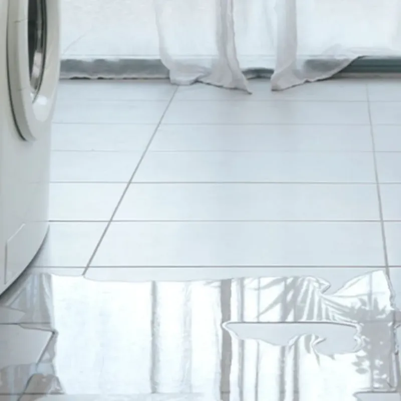 Appliance Leak Cleanup in Three Rivers, MI
