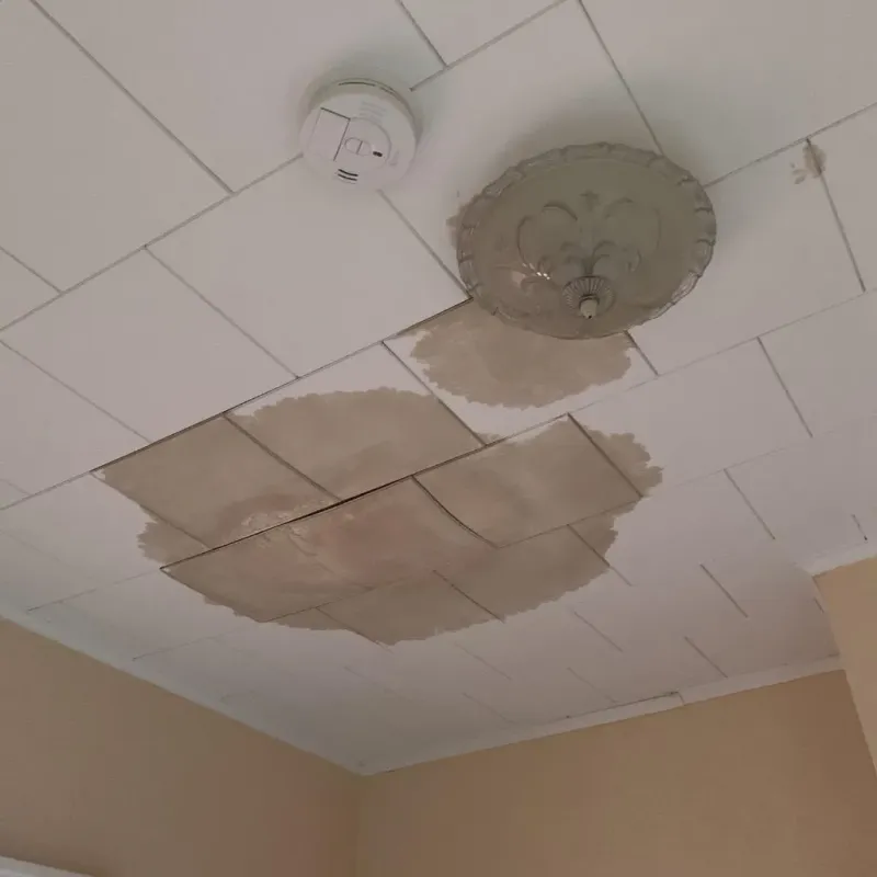 Ceiling Water Damage Repair in Three Rivers, MI