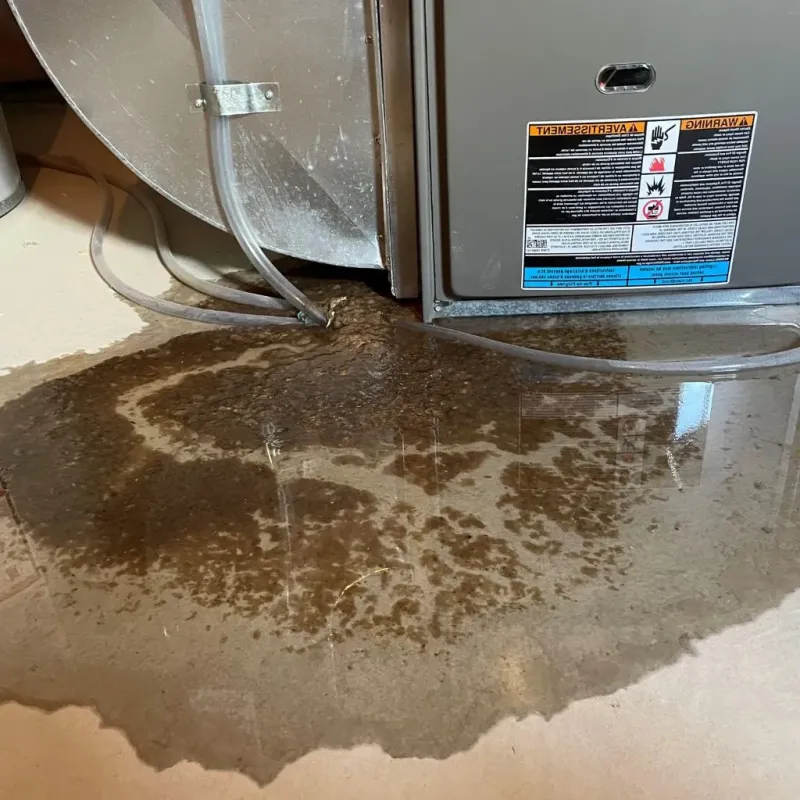Pipe Burst and Leak Restoration in Three Rivers, MI