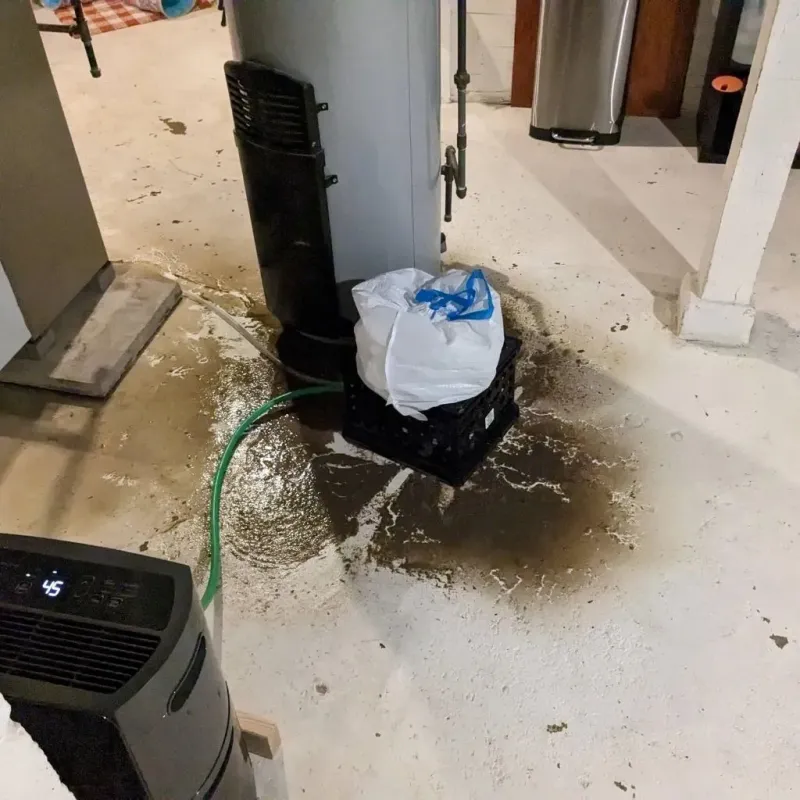 Sewage Backup Cleanup Service in Three Rivers, MI